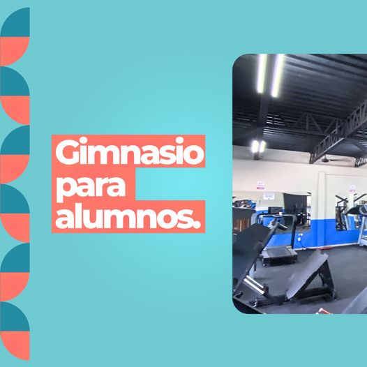 Un gym totalmente equipado para vos