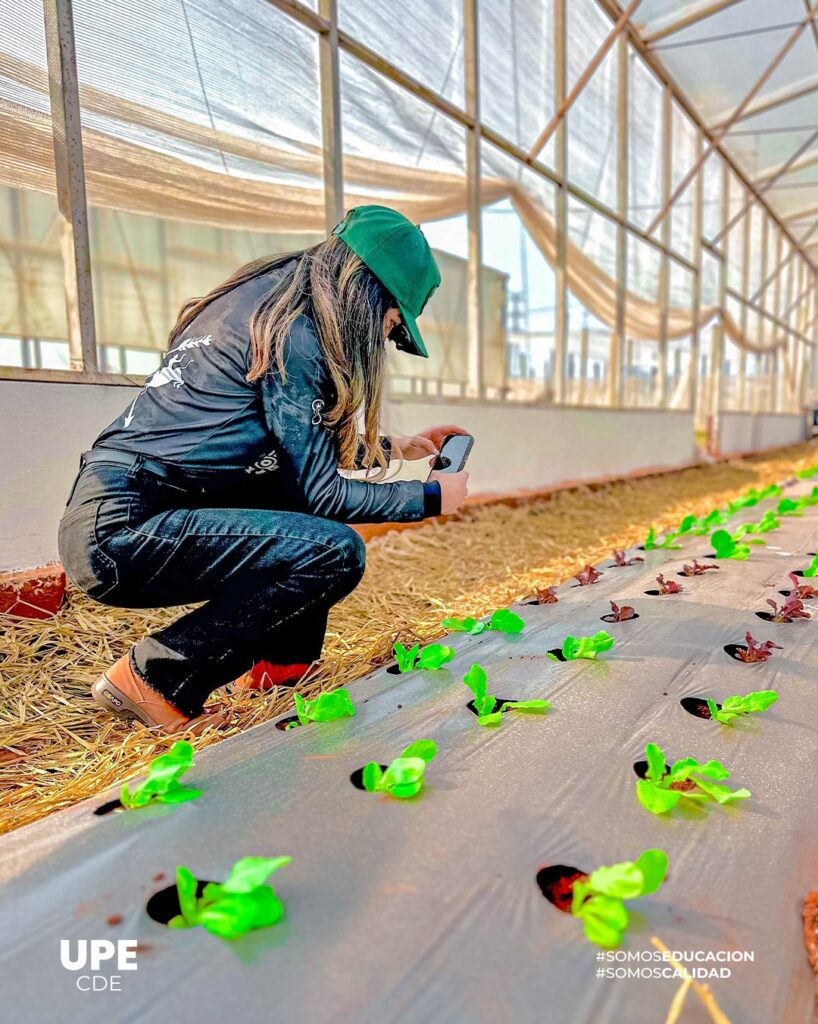 Apertura de Actividades Prácticas – Ingeniería Agronómica | Segundo Semestre 2025